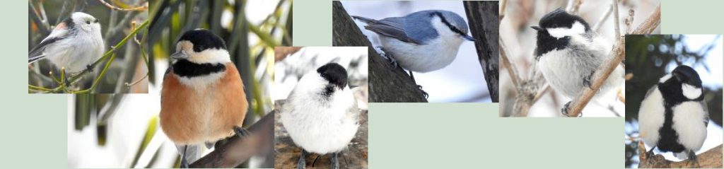 尊称と謙称の使い方一覧表 寝子のひとりごと2